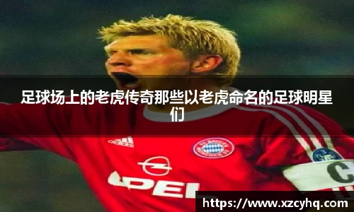 足球场上的老虎传奇那些以老虎命名的足球明星们